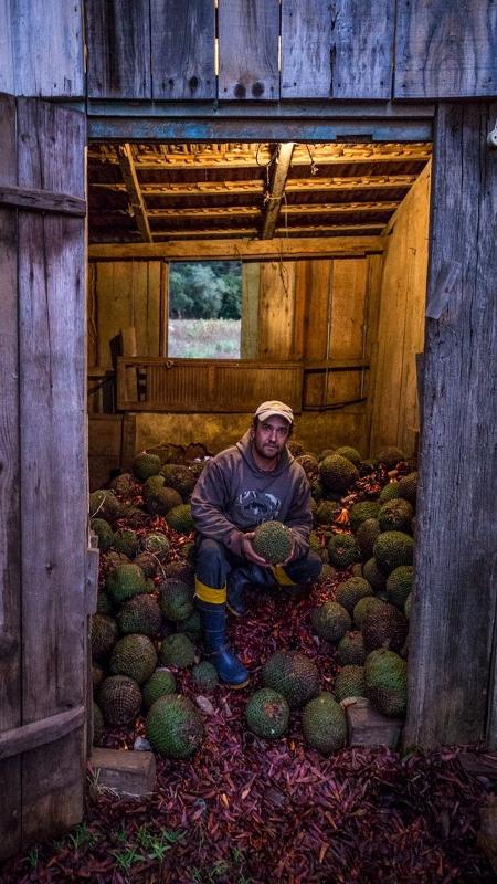 Jaison Rosa - Fellipe Abreu/Mongabay - Fellipe Abreu/Mongabay