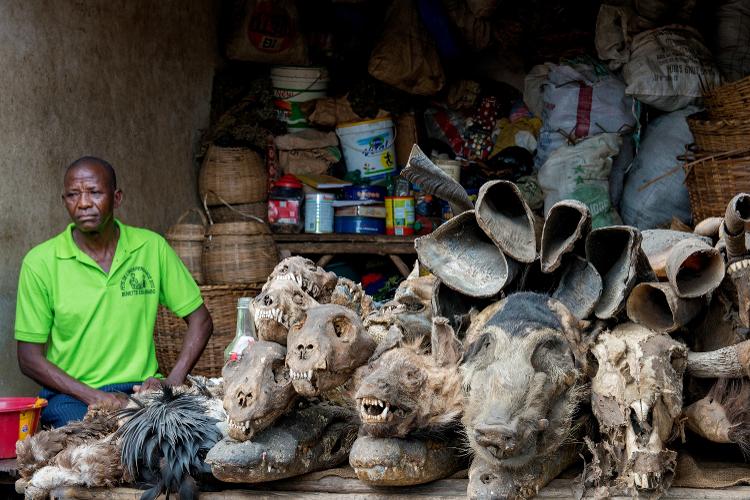 Homem vende caveiras de animais que são usados em celebrações religiosas do Vodum