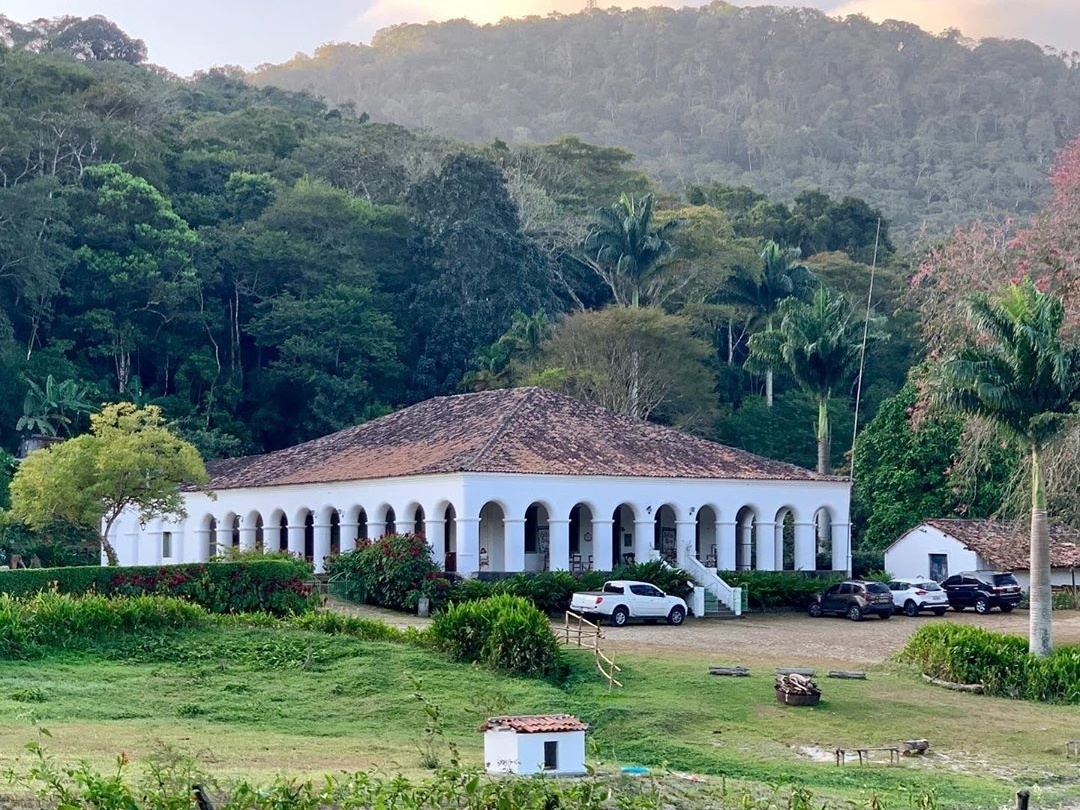 Montanhas cearenses: clima suíço, café colhido no pé e volta ao passado -  03/09/2019 - UOL Nossa