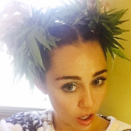 19.ago.2015 - Em selfie, Miley Cyrus usa acessório no cabelo que lembra planta de maconha. A cantora postou a foto no Instagram e aproveitou para fazer referênia a uma das famosas frases da drag queen RuPaul: "Servindo maconha real"