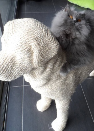 Erik Stehmann/Facebook 