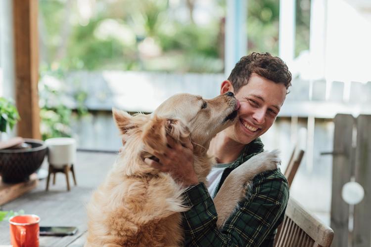 Cachorro faz festa para o dono - Getty Images - Getty Images