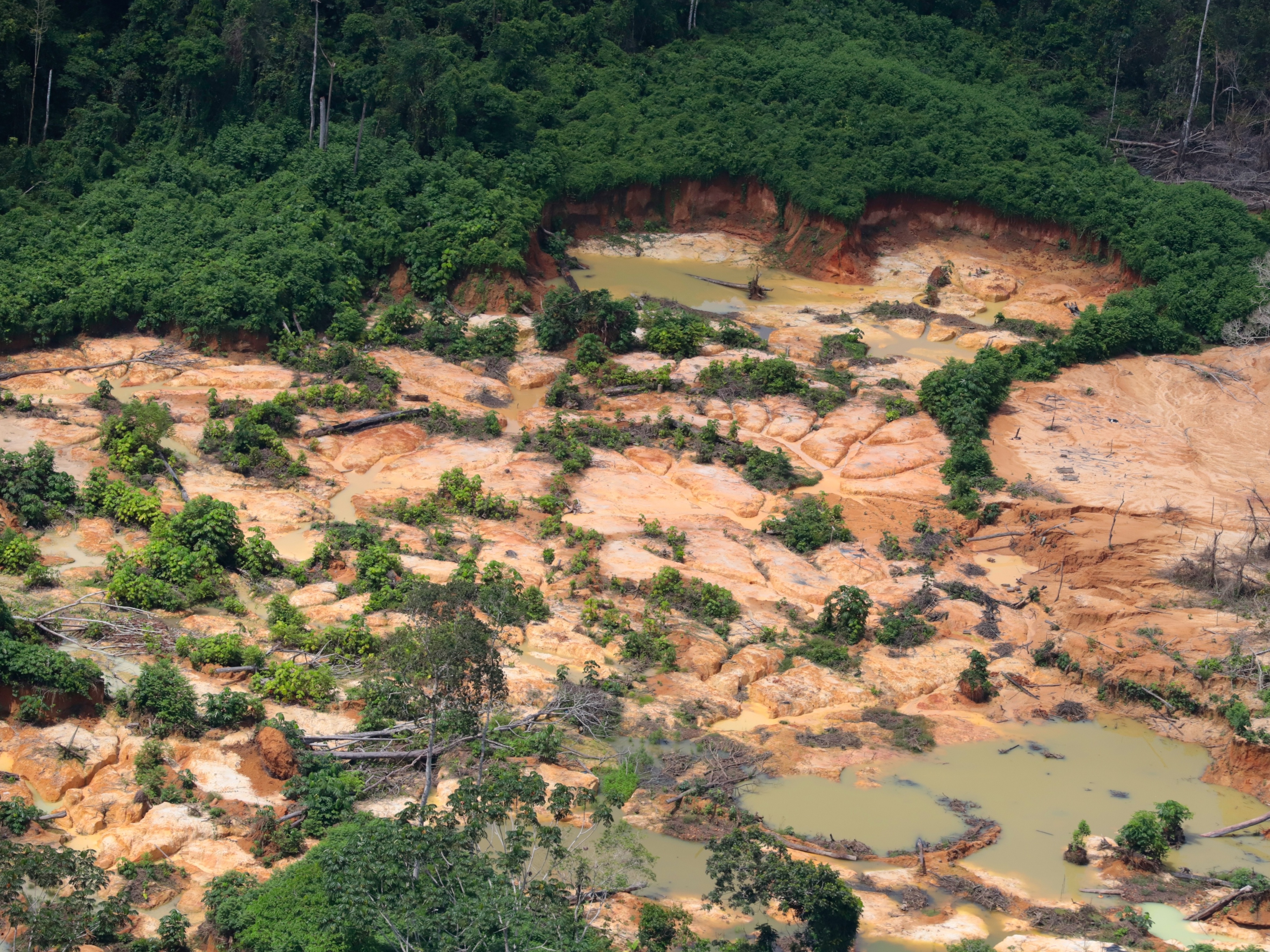 Conflitos por terra na era Bolsonaro j&aacute; superam governos passados
