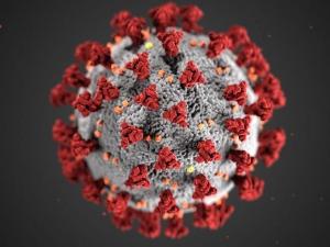novo coronavírus, BBC - CDC/Getty Images - CDC/Getty Images