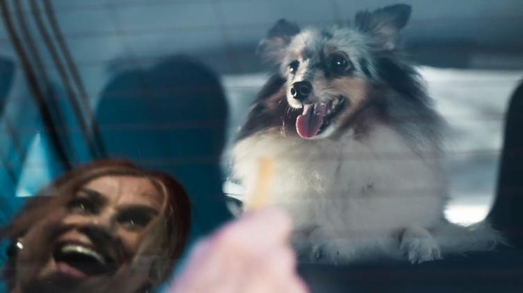 Yolanda, a Boi (Vera Holtz), faz armadilha para cachorrinho de Turandot (Arlete Salles) na série Eu, a Vó e a Boi - Reprodução/TV Globo - Reprodução/TV Globo