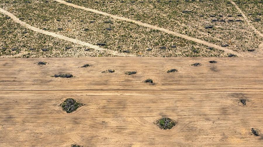 Área de Cerrado desmatada para o plantio de soja em uma fazenda no oeste da Bahia