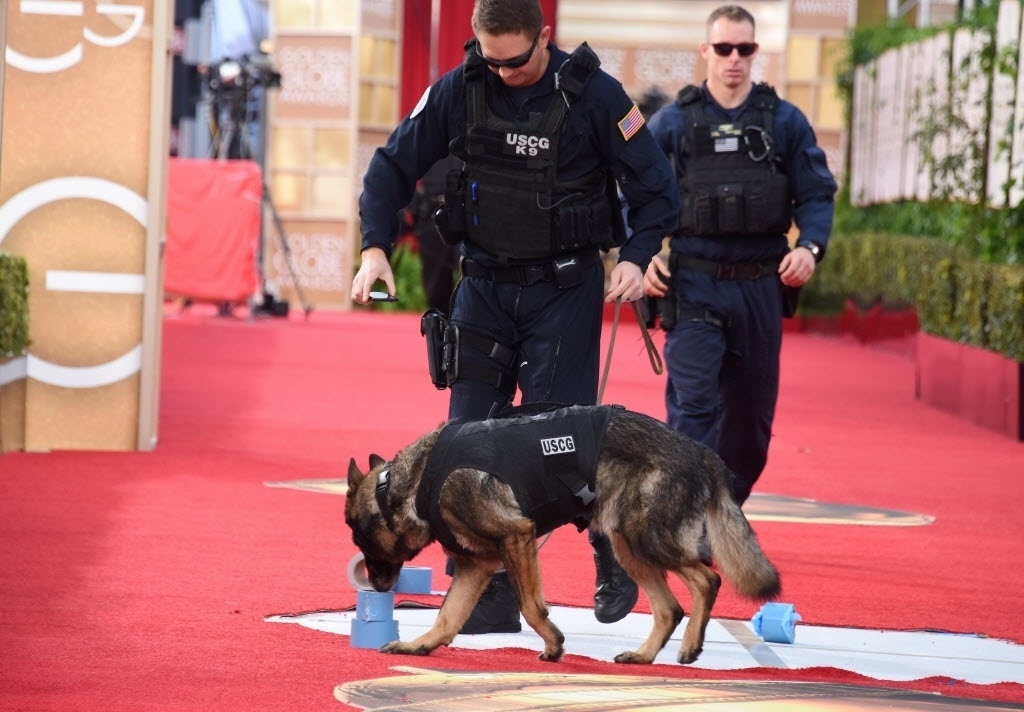 10.jan.2016 - Logo após a abertura do 73º Globo de Ouro, policiais fazem a vistoria do local com o auxílio de cães farejadores - AFP