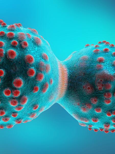 Estudo descobriu que molécula produzida por esponjas marinhas da Indonésia é capaz de inibir o aumento de células de tumores cervicais - iStock