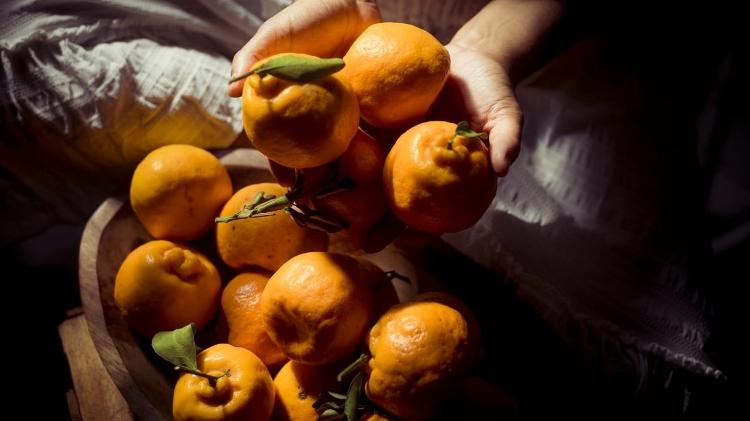 Janine Vieira - bolo de tangerina Eu Mereço - Kazuo Kajihara - Kazuo Kajihara