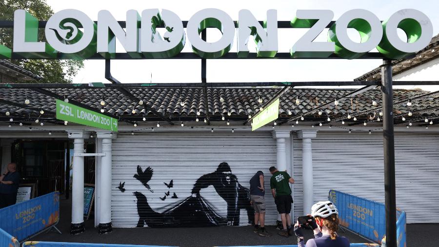 Novo mural de Banksy apareceu no zoo de Londres