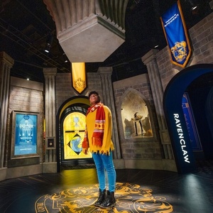 Harry Potter - The Exhibition