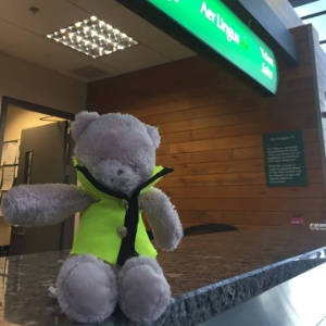 Enquanto seus donos não aparecem, o ursinho "trabalha" no aeroporto  - Reprodução/Facebook - Reprodução/Facebook