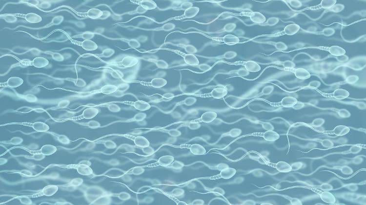 Após doação, espermatozoides são inseridos nas mulheres com seringas; médica diz que prática traz riscos - iStock - iStock