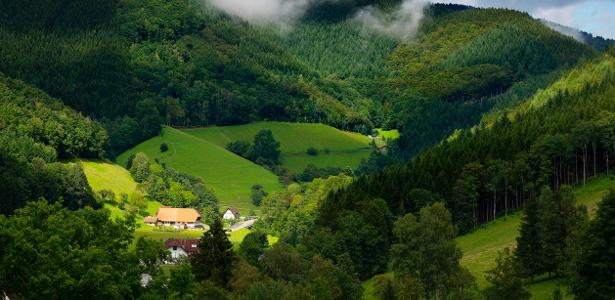 Getty Images/iStockphoto