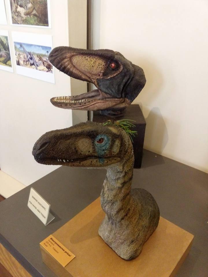 Acervo do Museu Nacional do Rio - Facebook/Reprodução