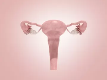 Espanhola com câncer faz 'autotransplante' de útero, com técnica brasileira