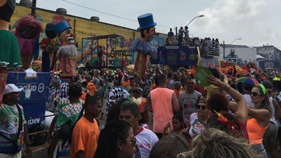 Galo da Madrugada desfila pelas ruas do Recife - Divulgação