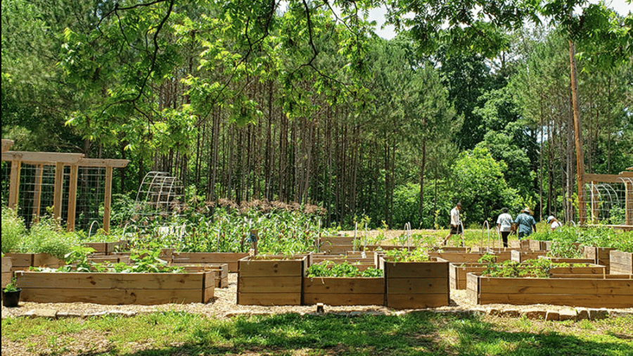 Horta comunitária na floresta alimentar de Browns Mill - Fundo de Conservação de Atlanta/Divulgação