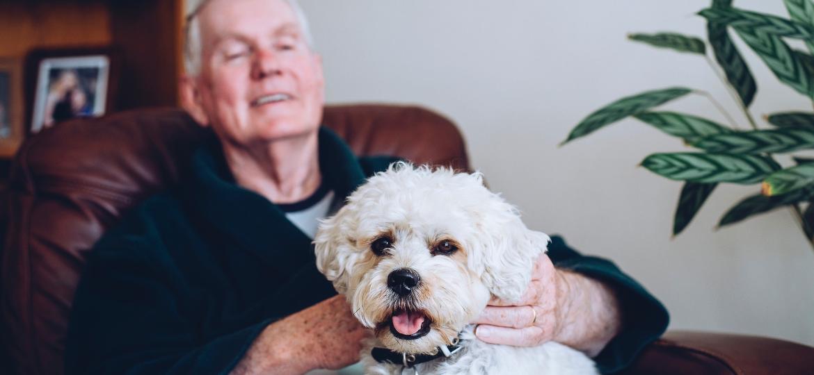 Assim como os humanos, cães idosos podem sofrer com problemas no coração - Getty Images/iStockphoto