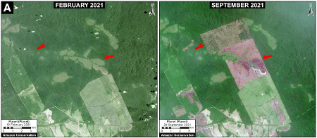 Desmatamento na Amazônia Legal perto da BR-230 entre fevereiro (esquerda) e setembro (direita) de 2021