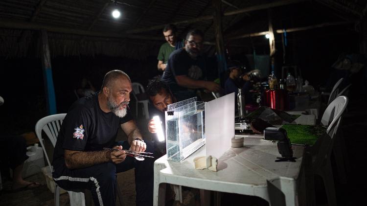 Leandro Sousa (em primeiro plano) observando amostras de peixes coletados na expedição. 