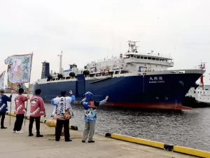 Navio japonês que voltou ao porto com 15 baleias mortas é saudado com festa