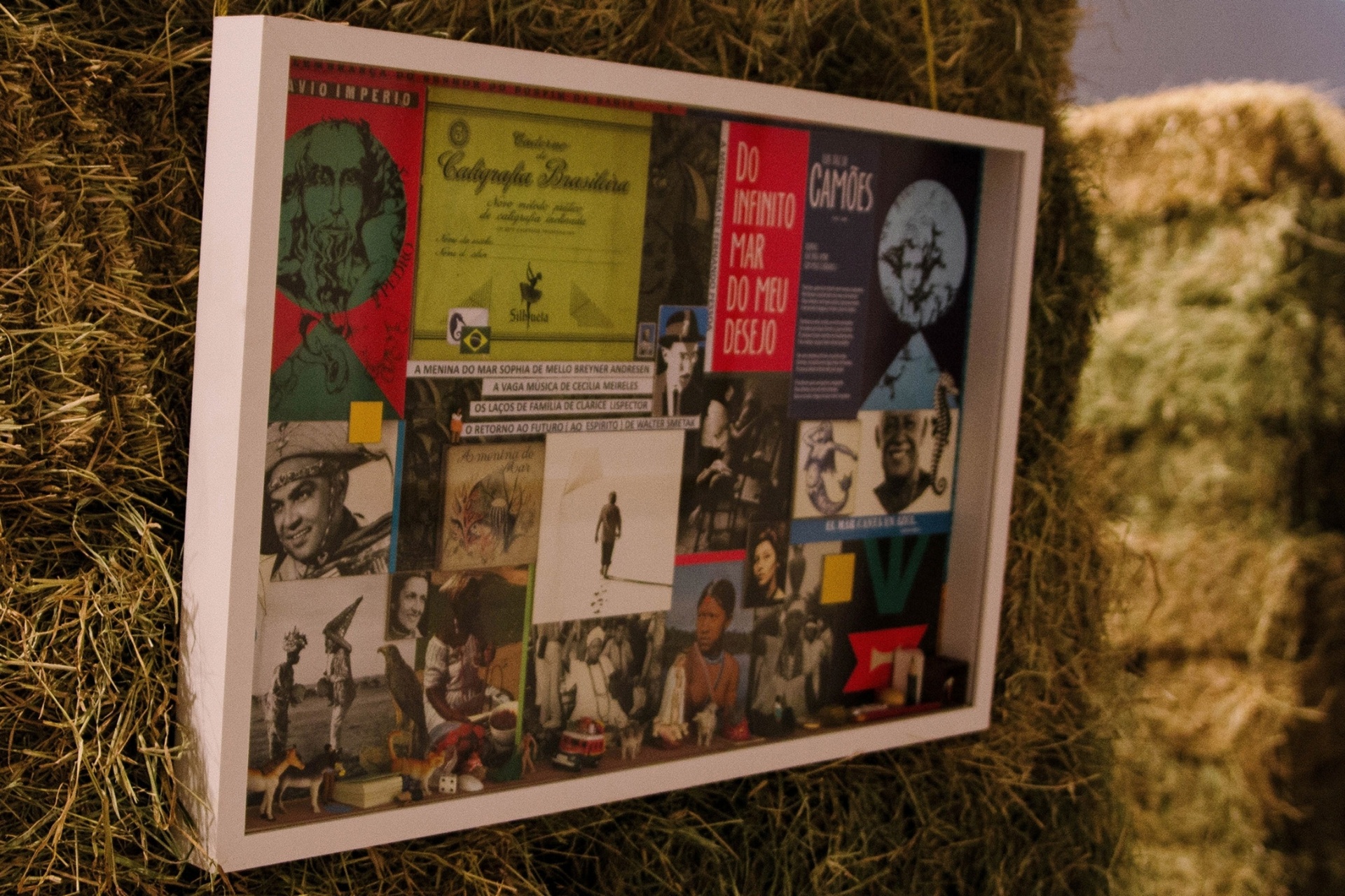 Obra de Hélio Eichbauer  - Catarina Ribeiro