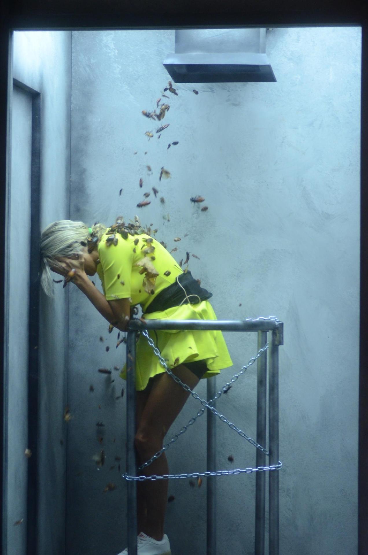 Mulheres são punidas pelos erros dos maridos com chuva de barata no "Power Couple Brasil" - Edu Moraes e Antonio Chahestian/Record TV