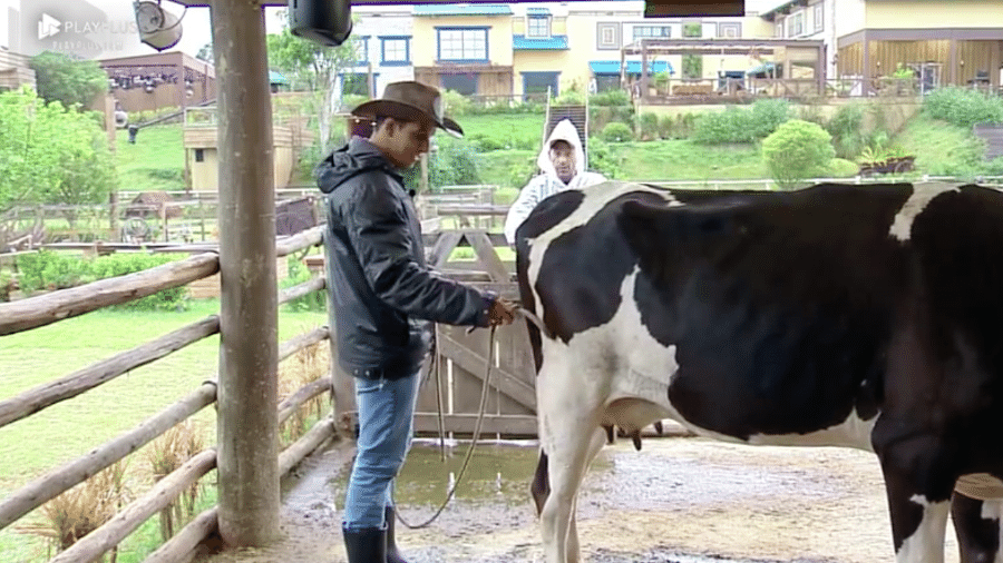 Rafael Ilha pede ajuda de Felipe Sertanejo para amarrar vaca de "A Fazenda 10" - Reprodução/PlayPlus
