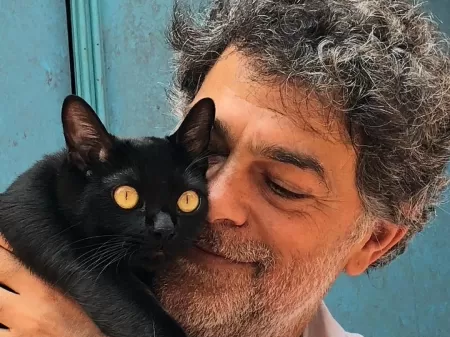 Gatos famosos: conheça os 10 personagens felinos mais icônicos da ficção