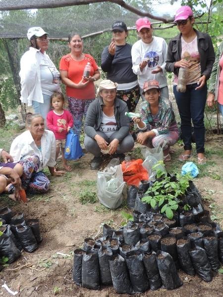 As agricultoras da Rede Mulheres Produtoras do Pajeú estão espalhadas por 11 municípios de Pernambuco - Arquivo
