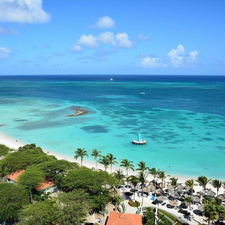 Eagle Beach: Palm - Eagle Beach, Aruba - Reprodução/Tripadvisor - Reprodução/Tripadvisor