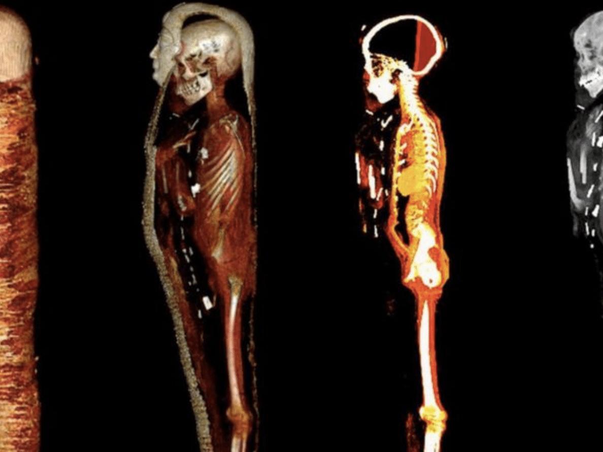 Múmia egípcia com 4300 anos estava envolvida em folhas de ouro - SIC  Notícias