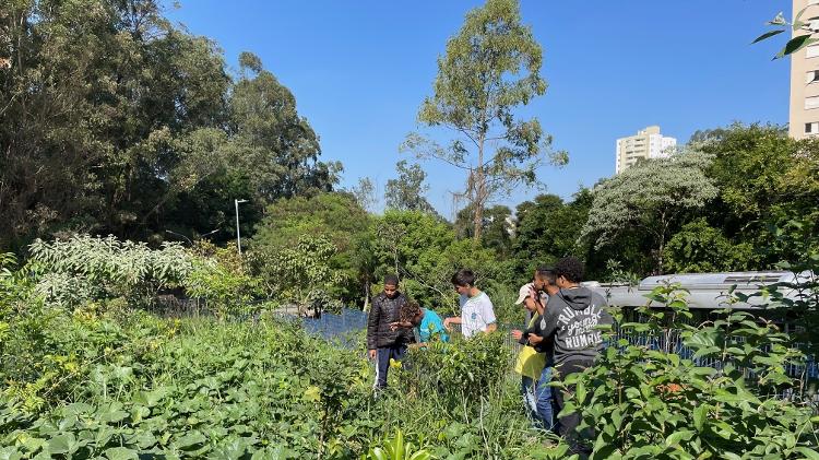 Alunos do 8º ano do CEU Paraisópolis visitam a minifloresta plantada por eles mesmos em outubro de 2022. Após oito meses do plantio, feijões já foram colhidos, abóboras e tomates estão em plena maturação. - Sibélia Zanon - Sibélia Zanon