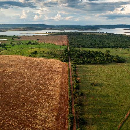 Vista aérea da Fazenda Entre Rios, vizinha à Fazenda Pontal, onde parte da terra está arrendada para plantação de soja Vista aérea da Fazenda Entre Rios, vizinha à Fazenda Pontal, onde parte da terra está arrendada para plantação de soja