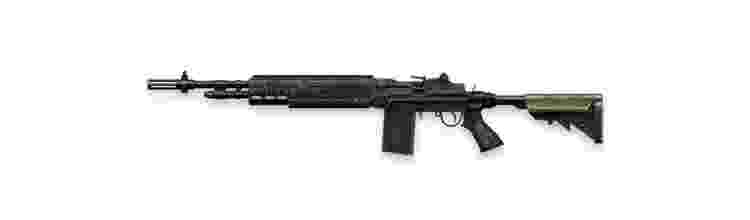 FF M14 - Reprodução - Reprodução