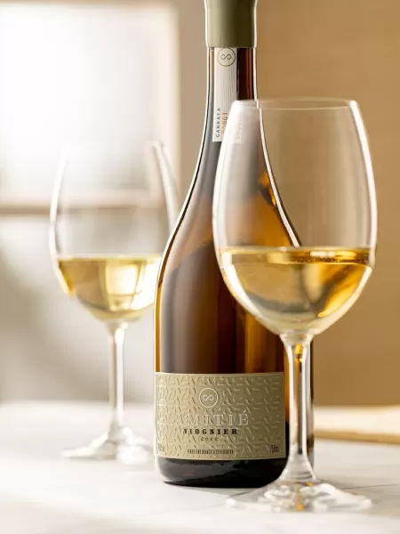 Conheça o primeiro vinho brasileiro com certificação de boas práticas em  todo o ciclo produtivo: é um Chardonnay da Vinícola Ravanello – In Vino  Viajas