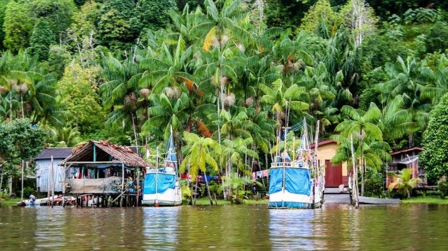 Região amazônica na Guiana Francesa: ao longo da história, ocupação no território se deu na costa - Getty Images/BBC