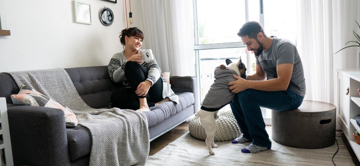 Camila e Pablo (com o dog Bruce) comandam o programa Tapa na Casa em Nossa - Apto.21