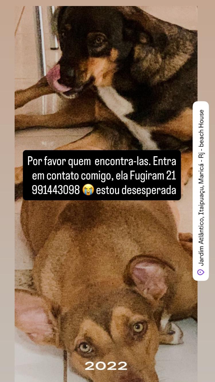Story da Mulher Abacaxi Story da Mulher Abacaxi
