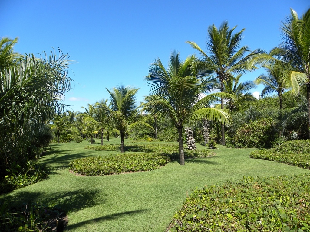 Este jardim em Trancoso, na Bahia, conta com 11 m² de área. O extenso terreno é, em parte, recoberto pela grama esmeralda. No gramado, o paisagista Marcelo Faisal insere cajueiros (Anacardium occidentale) e licuris (Syagrus coronata), além de coqueiros (Cocos nucifera L.). O conjunto transmite uma sensação de calmaria e e bonança, digna de um oásis - Divulgação
