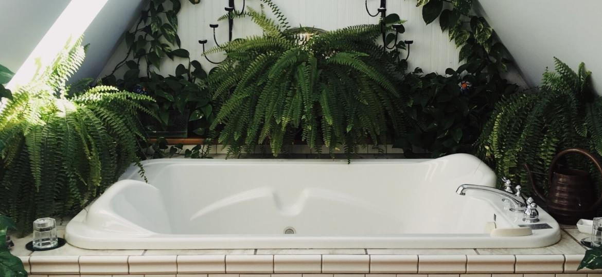 Banheiros também podem ser cenário de uma transformação "urban jungle" - Unsplash