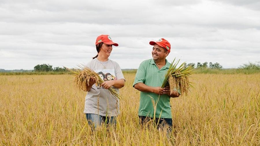 Nos últimos dias, o movimento viu as venda semanais de arroz orgânico saltarem de 198 kg para 260 kg - Alex Garcia