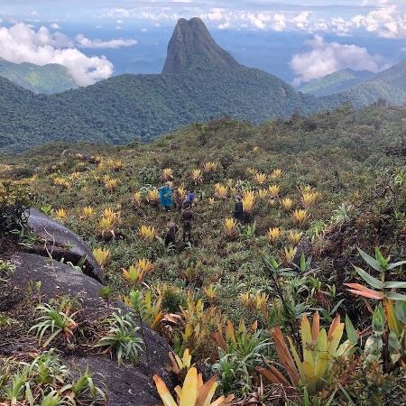 Pesquisadores em expedição no alto da Serra do Imeri, no Amazonas