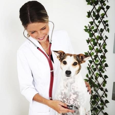 Debby trabalha como veterinária - Reprodução/Instagram - Reprodução/Instagram