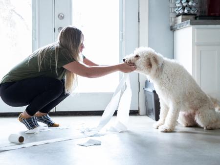 Meu Cachorro Comeu Alguma Coisa Saiba O Que Fazer 04 03 2021 Uol Nossa