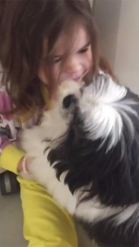 Valentina dá bronca em seu cachorro por ele ter comido presunto - Reprodução/Instagram