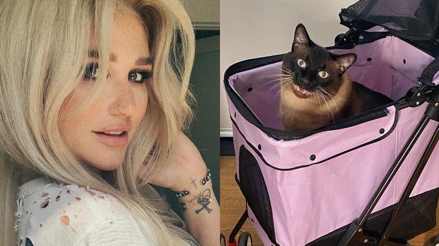 Kesha leva gato de estimação para passear - Reprodução/Instagram@iiswhoiis