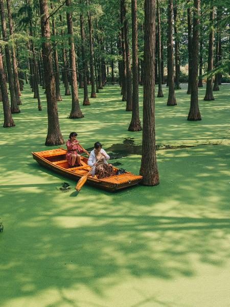 Lago verde na China - - Future Publishing/Future Publishing via Getty Imag - Future Publishing/Future Publishing via Getty Imag