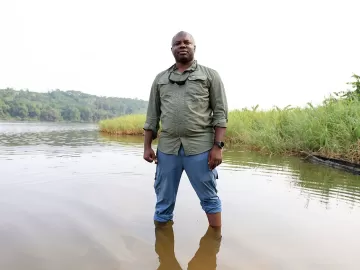 O guardião dos peixes-bois africanos: cientista luta para salvar espécie esquecida